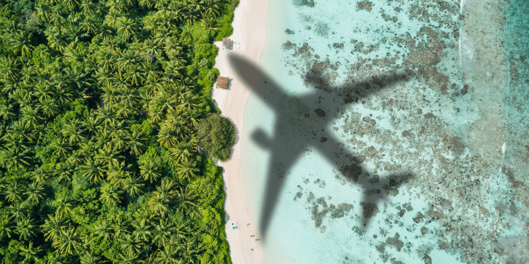 Airplane shadow over the ocean, beach and forest