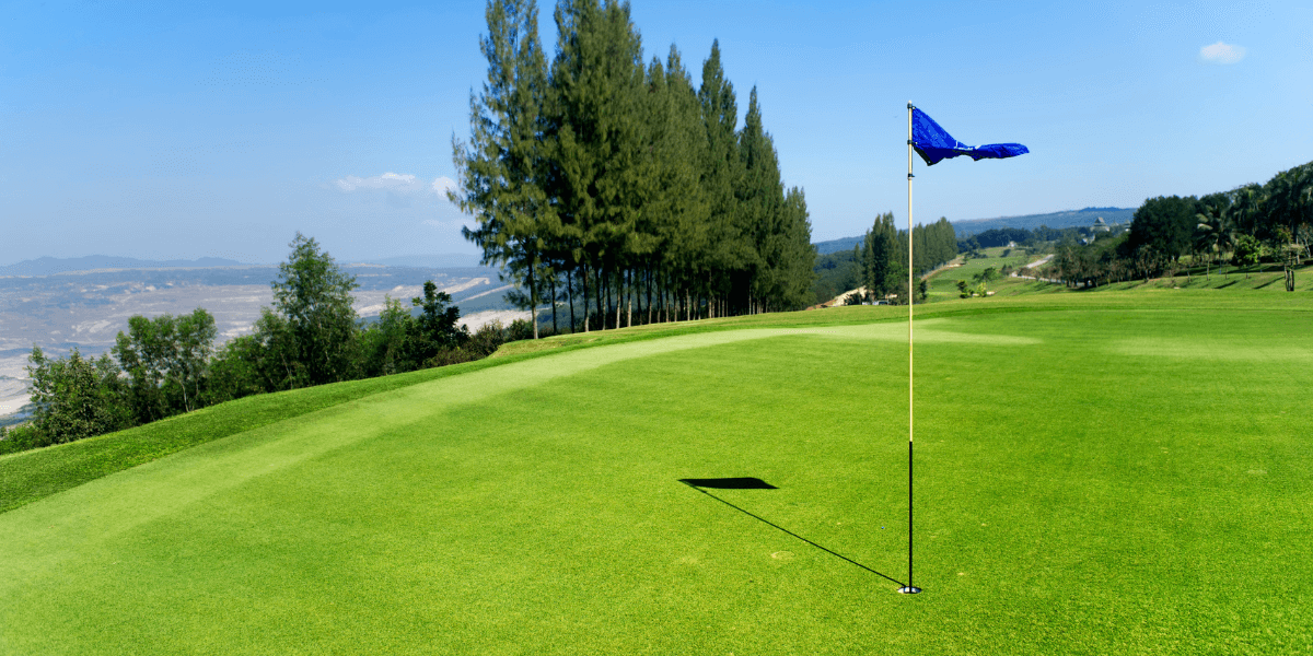 Golf course with blue flag marking a hole.