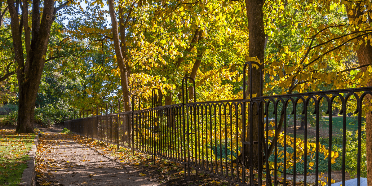 A side walk and black iron fence in a historic park.